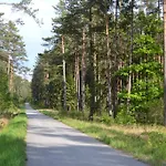 Slunečnice - V Soukromí Na Třeboňsku Třeboň