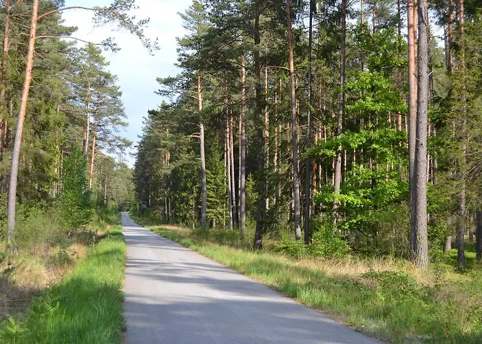Slunecnice - V Soukromi Na Trebonsku Trzeboń